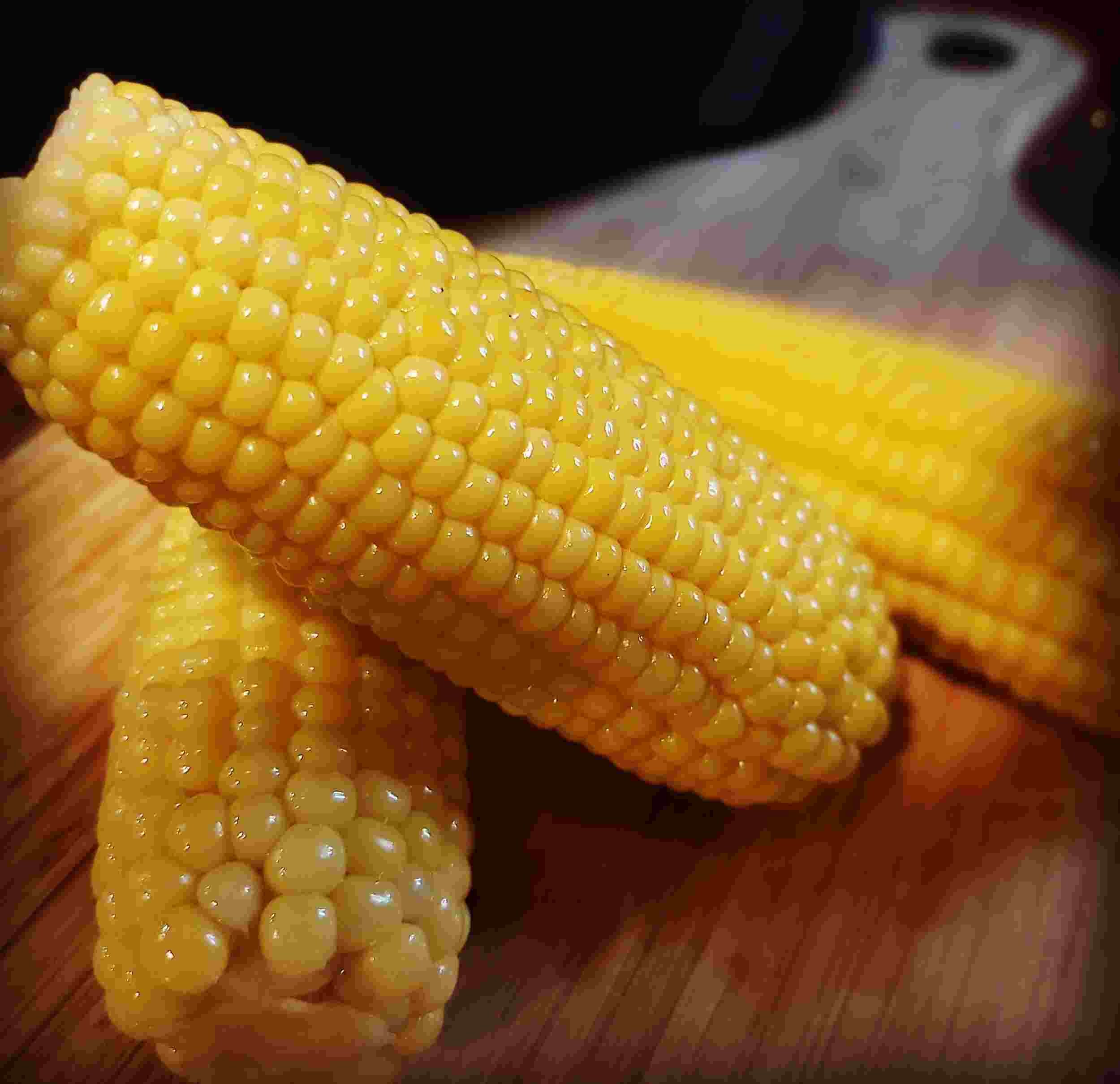 Cuánto se tarda en cocer el maíz? - OneOcean Club